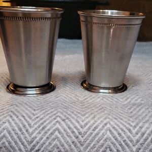 Elegant Silver Tumblers